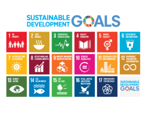 UN SDGs